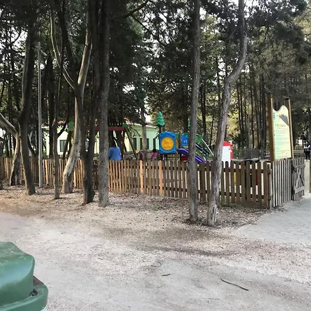 Bed & Breakfast Ulivi